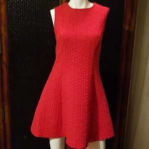 Zara Red Flare Dress